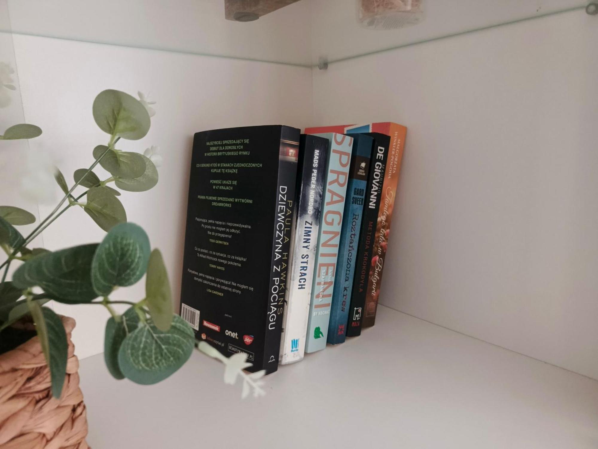 Apartament Pod Trzynastka 耶莱尼亚古拉 外观 照片